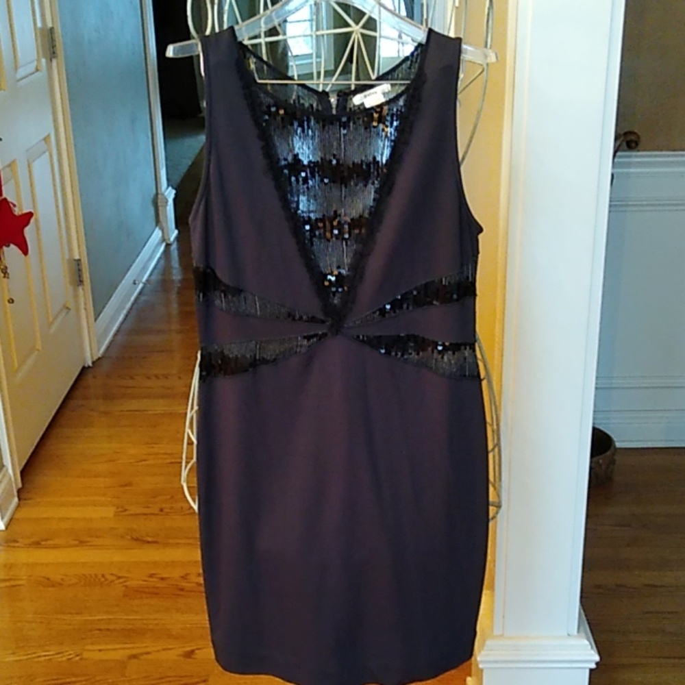 Esley Sequins Dress